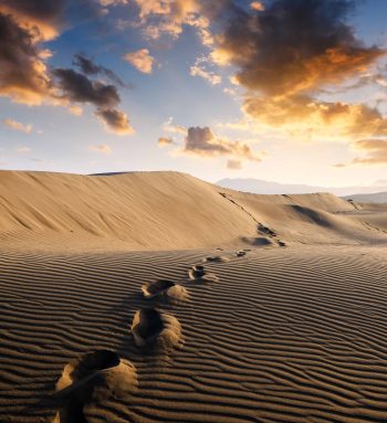 Footprints on sand in the desert stretching into the distance. Hot landscape with sand dunes against the background of the orange sunset