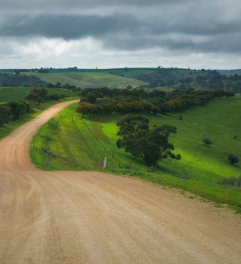 Dirt road in the Adelaide Hills